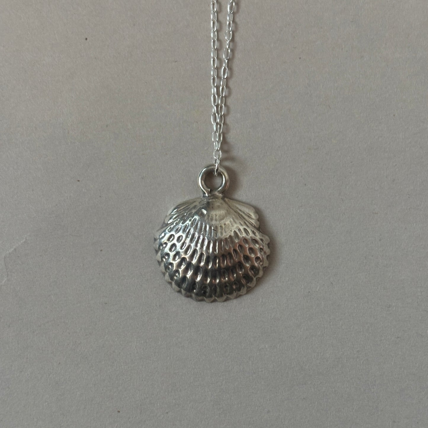 silver shell necklace